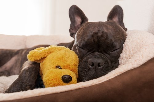 shutterstock_289492334